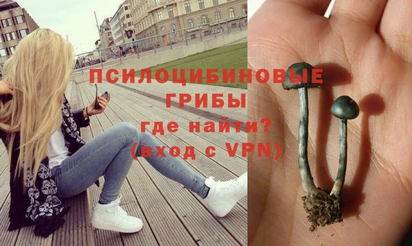 а пвп мука Бугульма